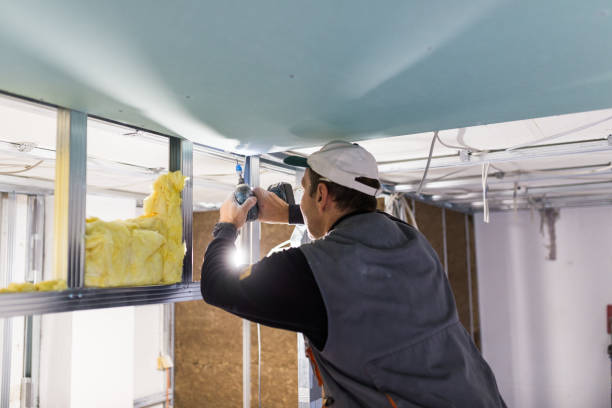 Best Insulation Contractors for Homes  in West Canton, NC