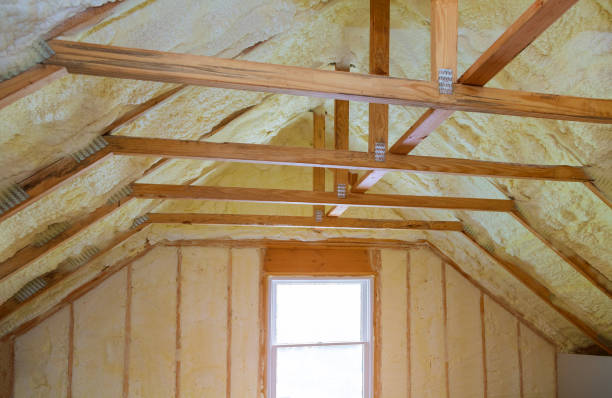 Best Garage Insulation Installation  in West Canton, NC