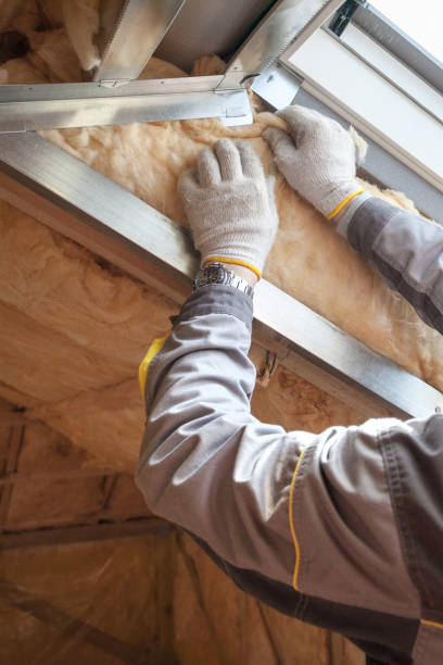 Best Attic Insulation Near Me  in West Canton, NC