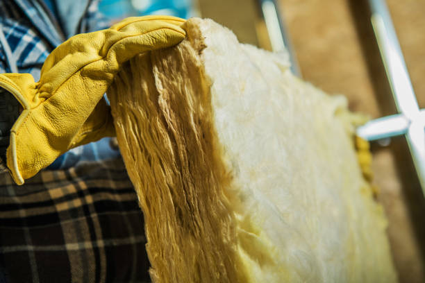 Best Home Insulation Services  in West Canton, NC