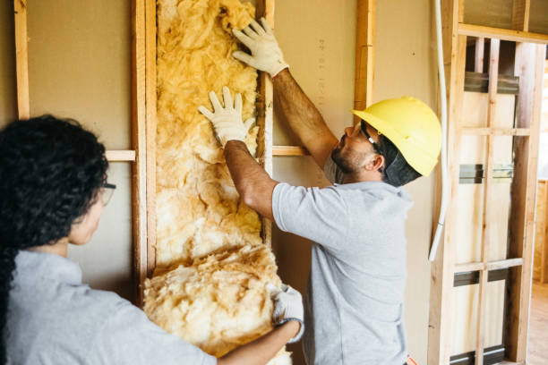 Best Attic Insulation Installation  in West Canton, NC