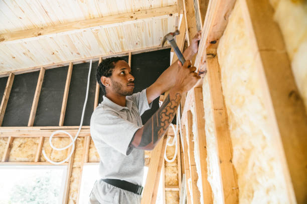 Best Attic Insulation Installation  in West Canton, NC