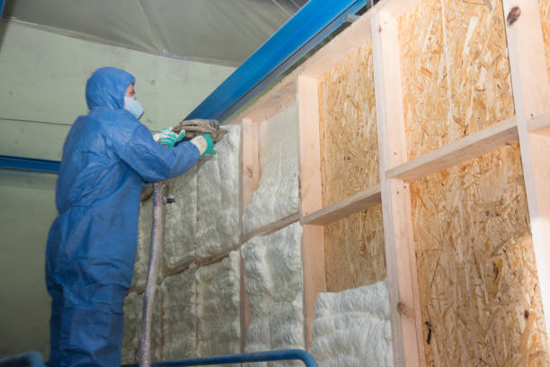 Best Insulation Contractor Near Me  in West Canton, NC
