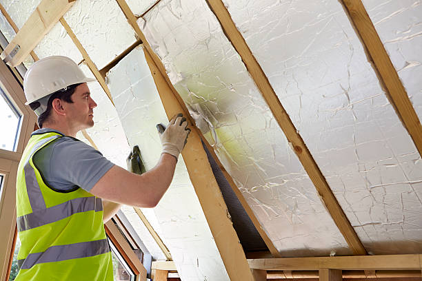 Best Insulation for New Construction  in West Canton, NC