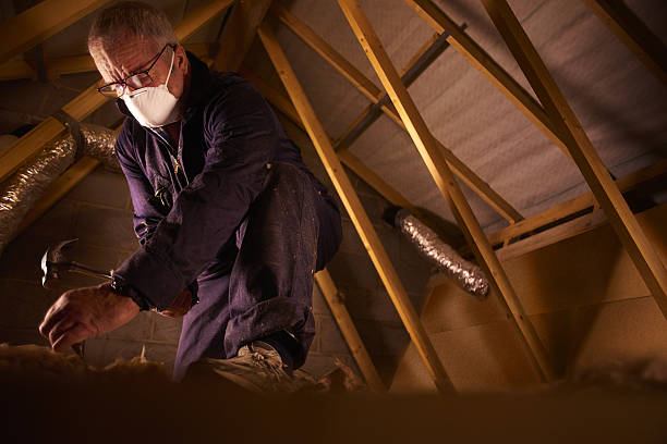 Best Crawl Space Insulation  in West Canton, NC