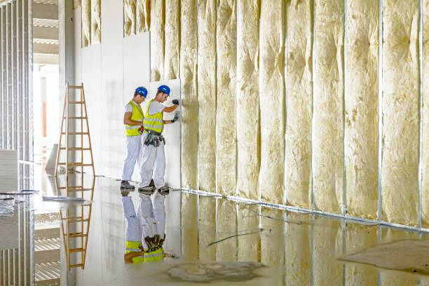 Best Soundproof Insulation Installation  in West Canton, NC
